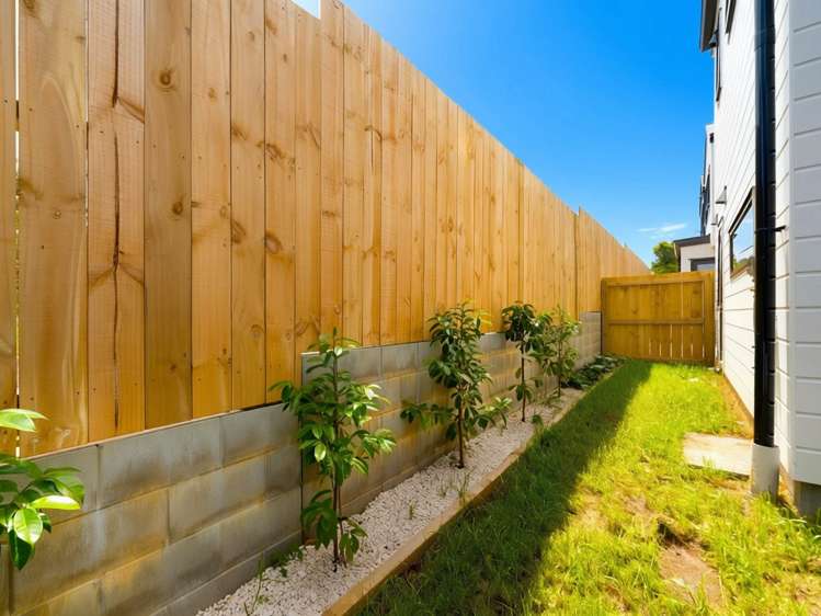 11B Cadman Avenue Greenlane_14