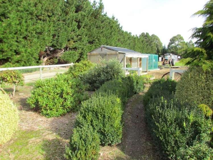 11 Ettrick Road Ettrick_17