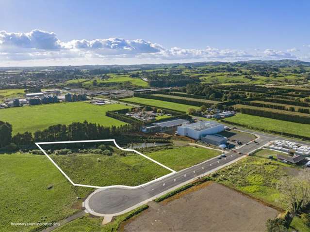 14 Allie Drive Tuakau_1