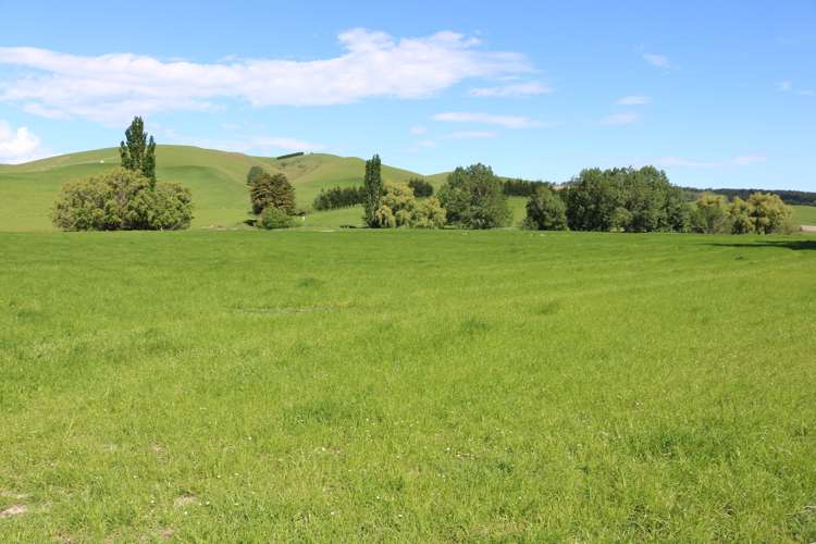 386 Otama Valley Road Gore Surrounds_12