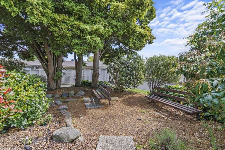 3/2 Ryan Avenue Chartwell_10