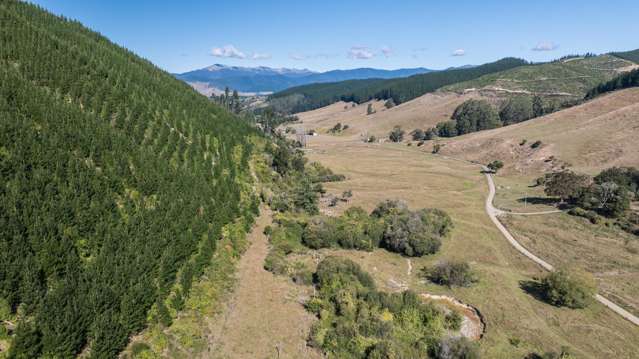 335 Pretty Bridge Valley Road Belgrove_4