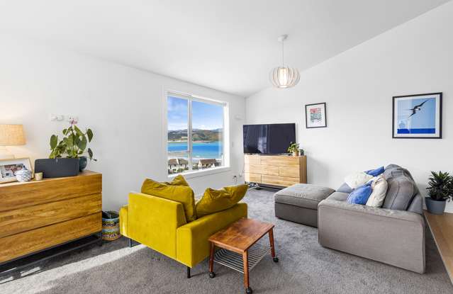 216c Sutherland Road Lyall Bay_2