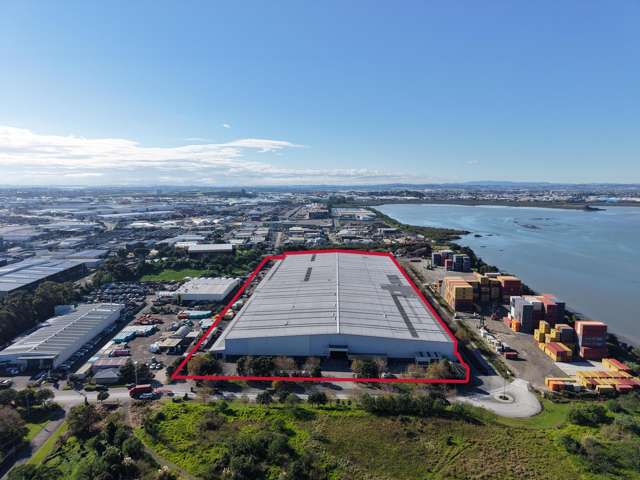 Large-scale industrial facility with options