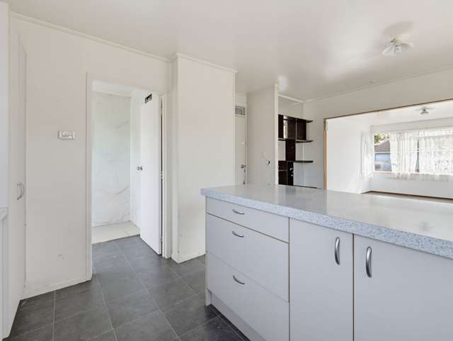 374 Roscommon Road Clendon Park_2