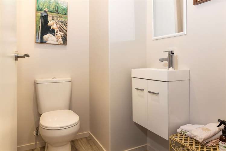 2 Korari Grove Redwoodtown_15