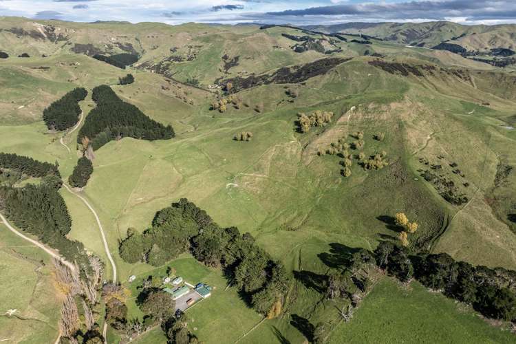 467 Waitahora Valley Road Dannevirke_2