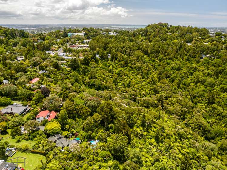 530 South Titirangi Road Titirangi_53