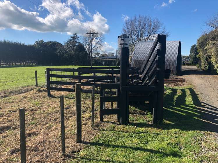 404 Holland Road Eureka_20