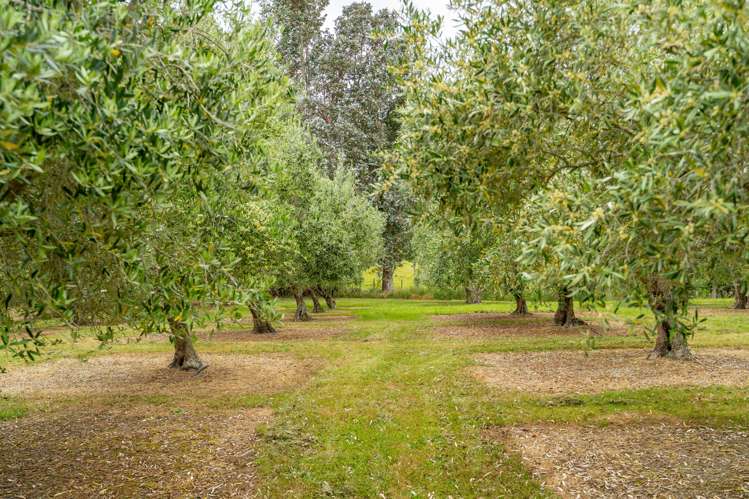 31 Whakarua Road Hinakura_10