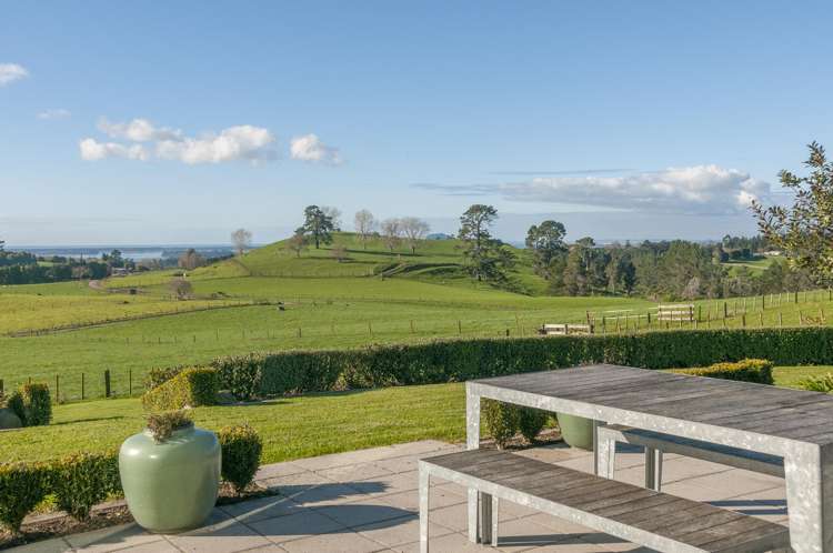 321 Ross Road Whakamarama_18