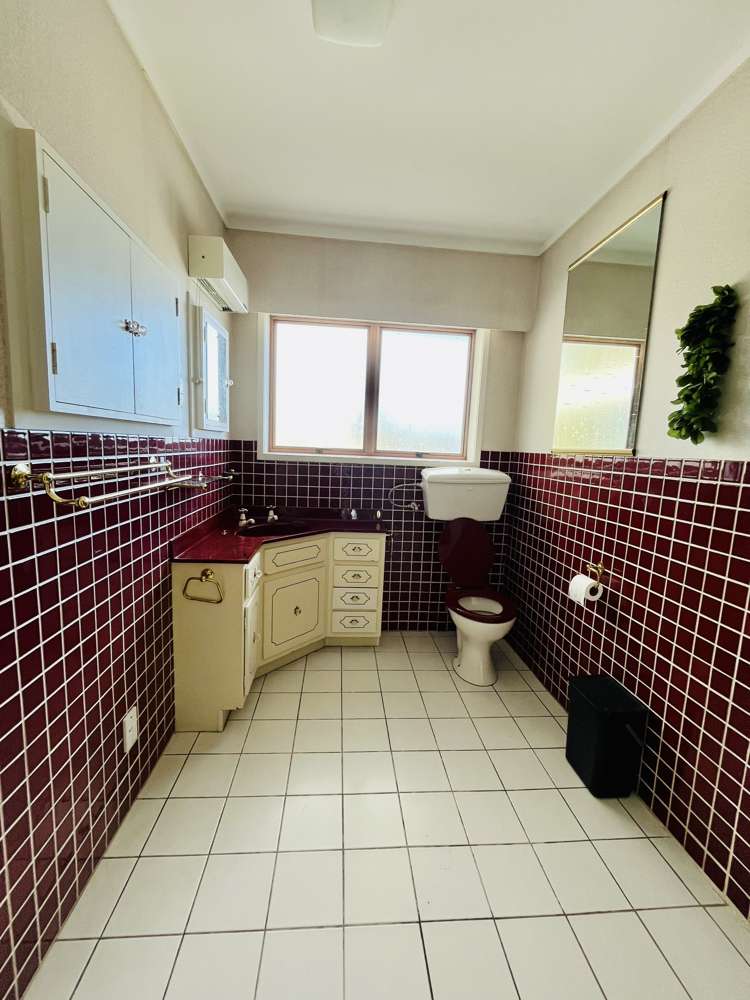 169 Elliot Street Pahurehure_9