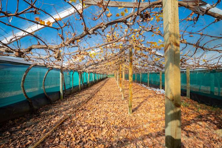 80 Omaha Flats Road Tawharanui Peninsula_17