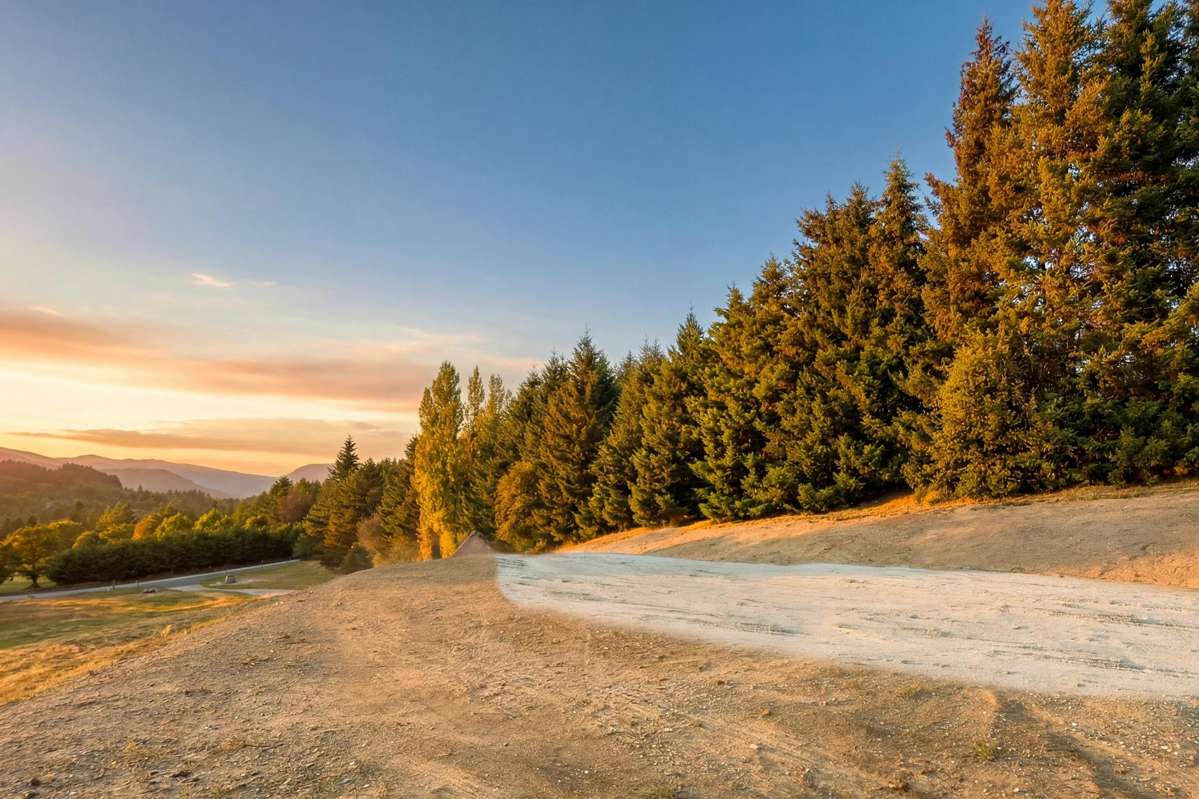 26 Fitzpatrick Road_3