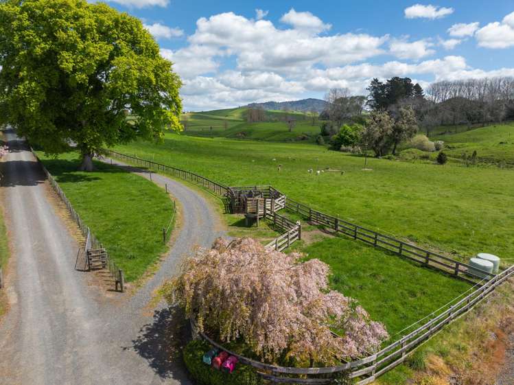 243C Matai Road Matamata_29