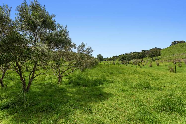 59 Pohutukawa Drive Opotiki and Surrounds_16