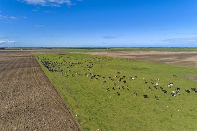 1085 Orton Rangitata Mouth Road Clandeboye_3