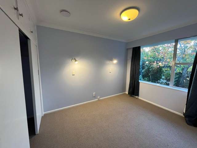 4/225 Manukau Road Epsom_3