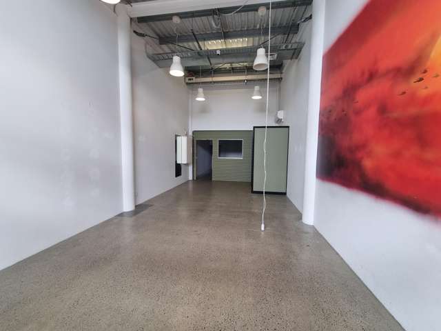 8 Lombard Street Te Aro_1