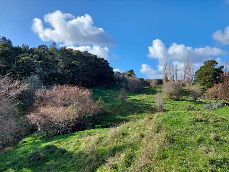 27 Mcgillivray Road Wellsford_5