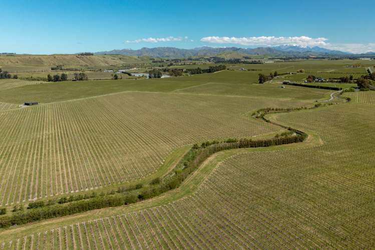 1803 Redwood Pass Road Seddon_6