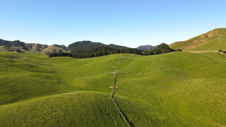 129 Speedy Road Dannevirke_5