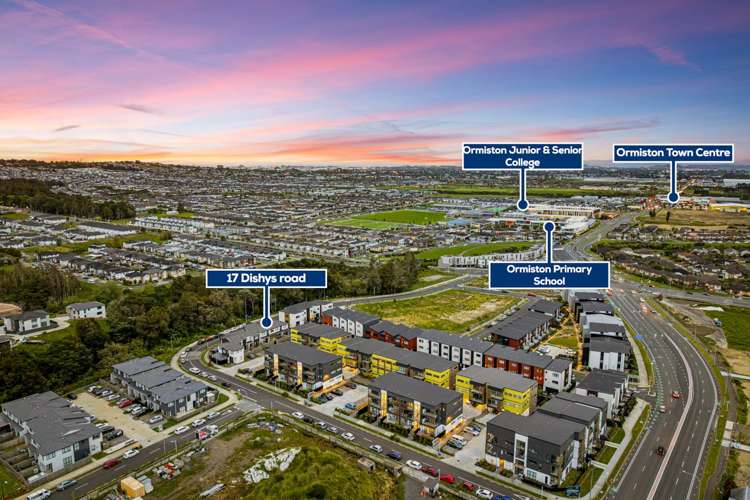 17 Dishys Road Flat Bush_21