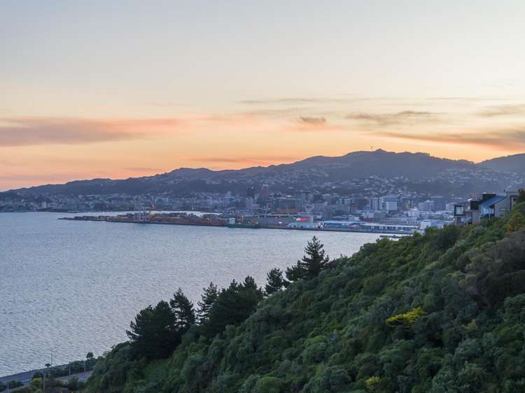 14 Shalimar Crescent Khandallah_38