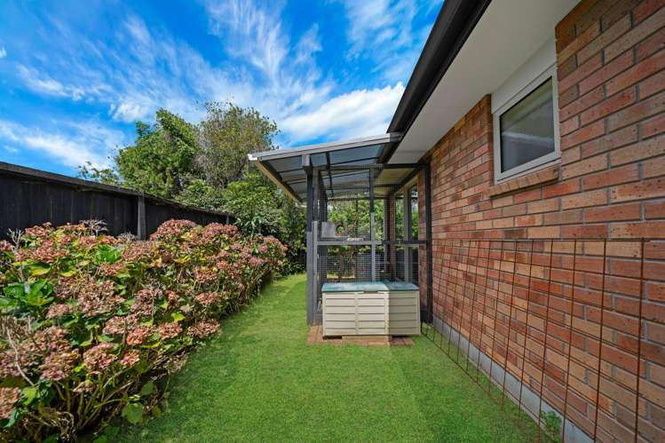 196 Sturges Road Henderson_16