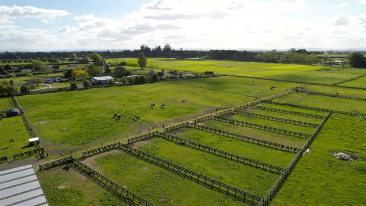 27c Marshmeadow Road Newstead_32