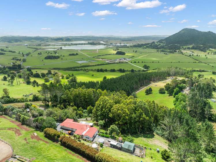 448 Apotu Road Kauri_25