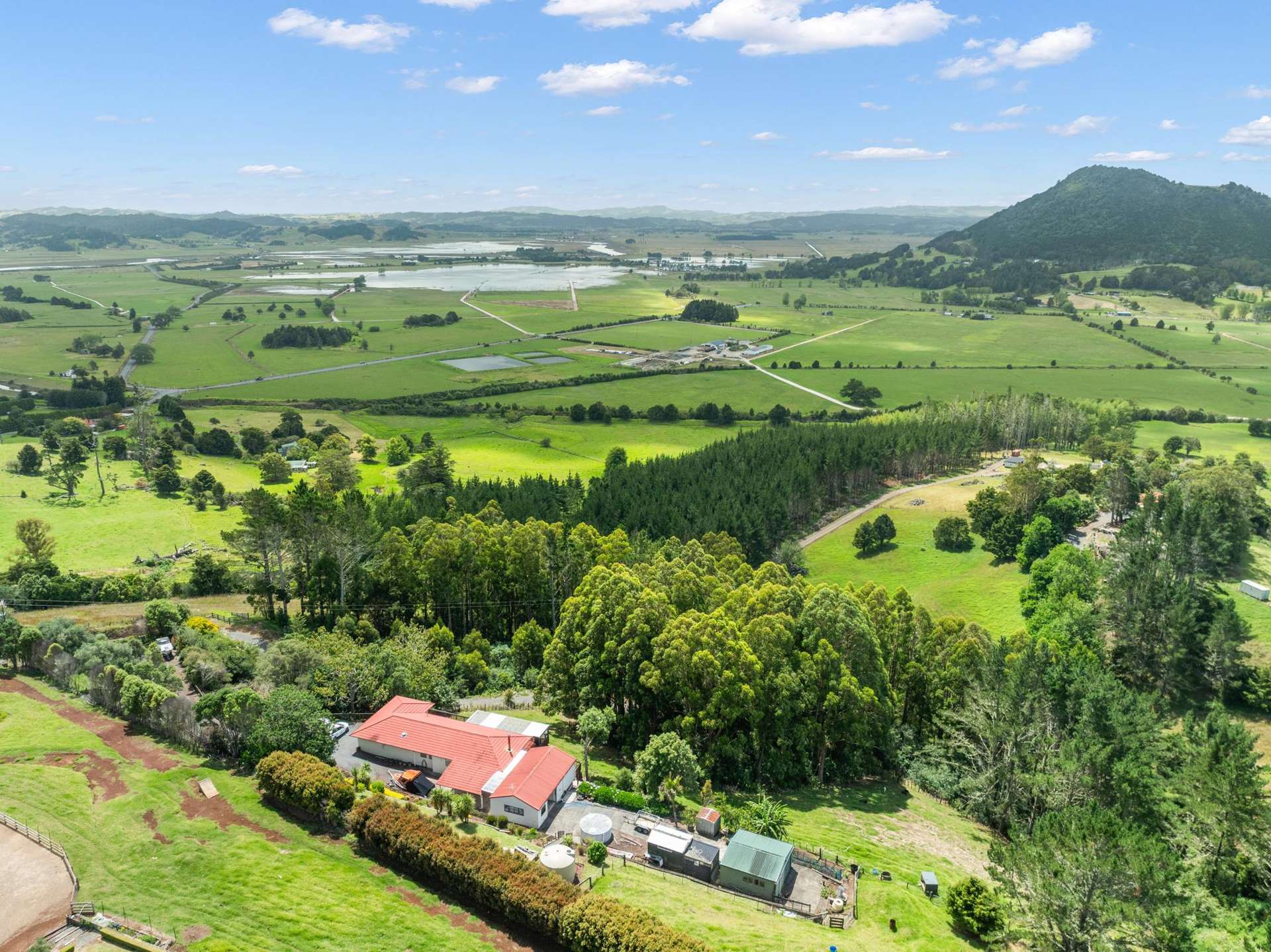 448 Apotu Road Kauri_0