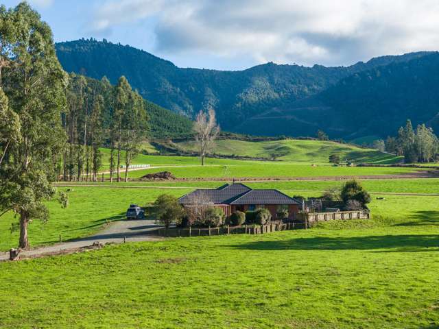 52 Daltons Road Canvastown_3