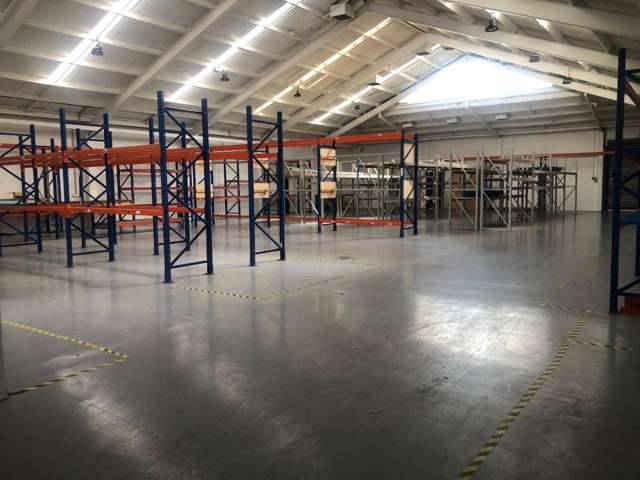 105 Wordsworth Street Sydenham_3