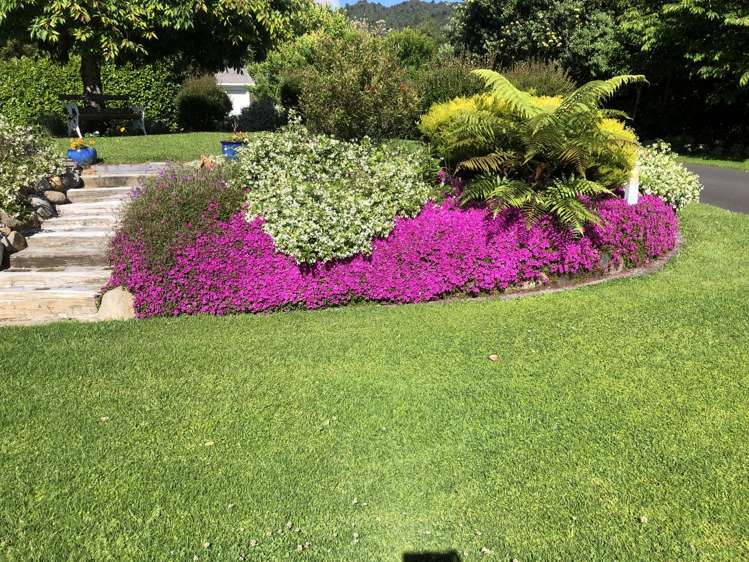 244 Lindemann Road Tahawai_21