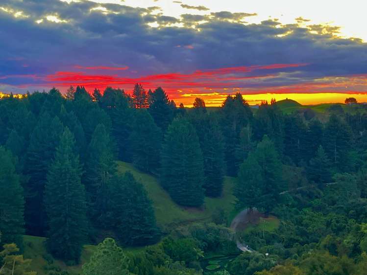 Leslie Road Putaruru_8