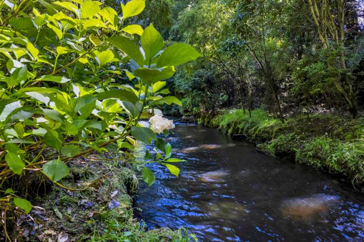 46 Stanners Street Eltham_30