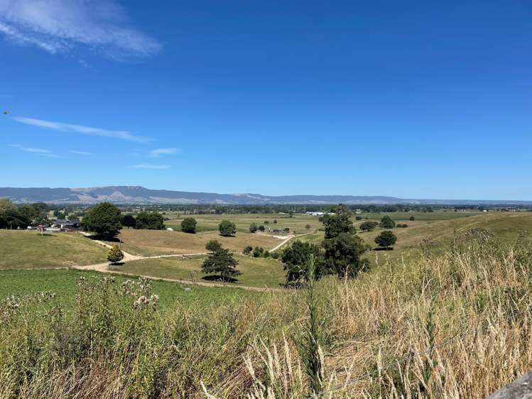 517 Peria Road Matamata_27