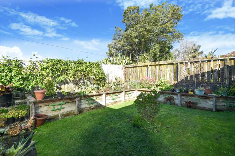 191b Maungatapu Road Maungatapu_14