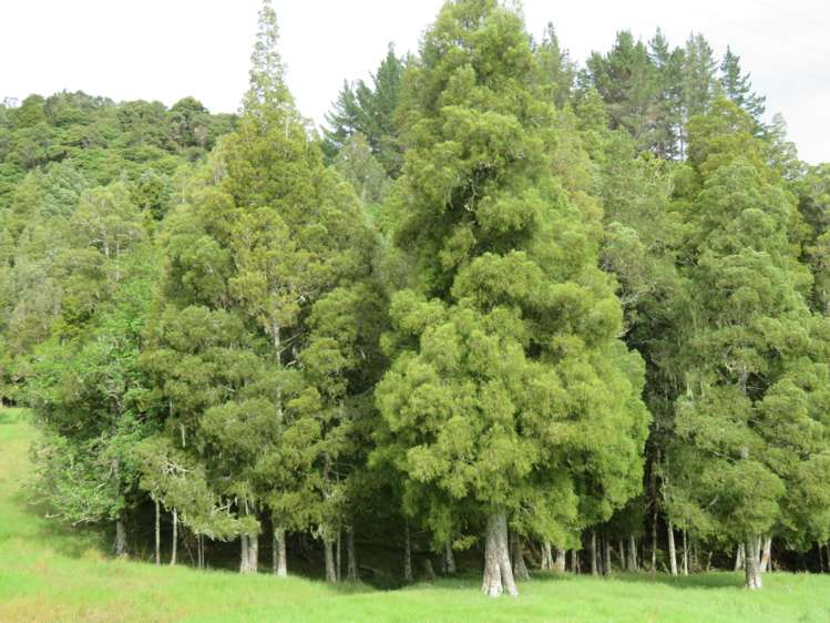 285 Peria Road Peria_18