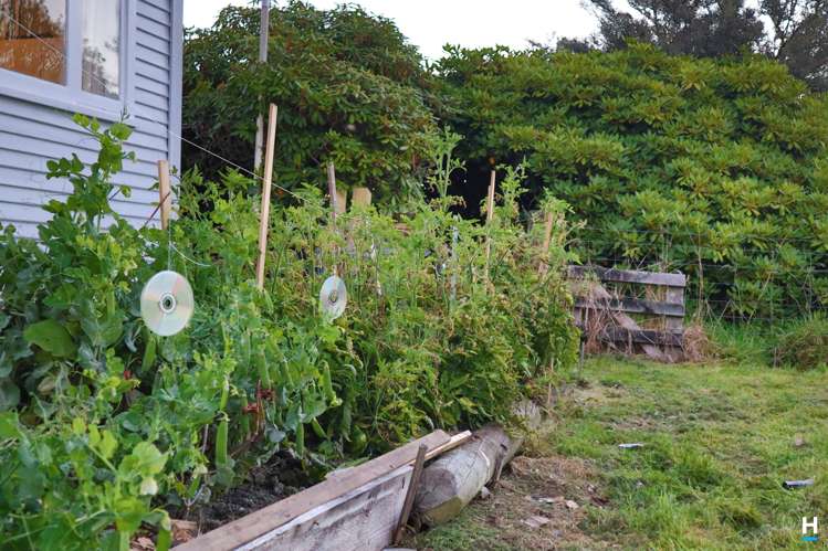 829 Nelson Creek Road Hochstetter_35