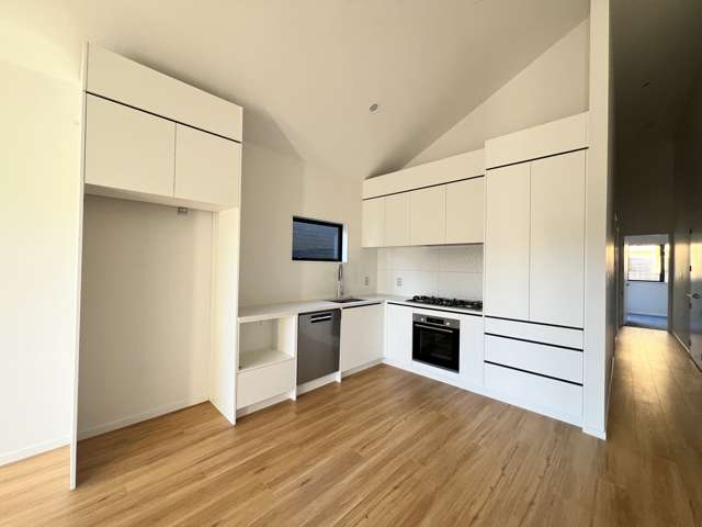 42 Biokovo Street Massey_2