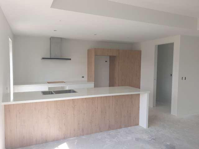 19 Sandhurst Drive Rolleston_2
