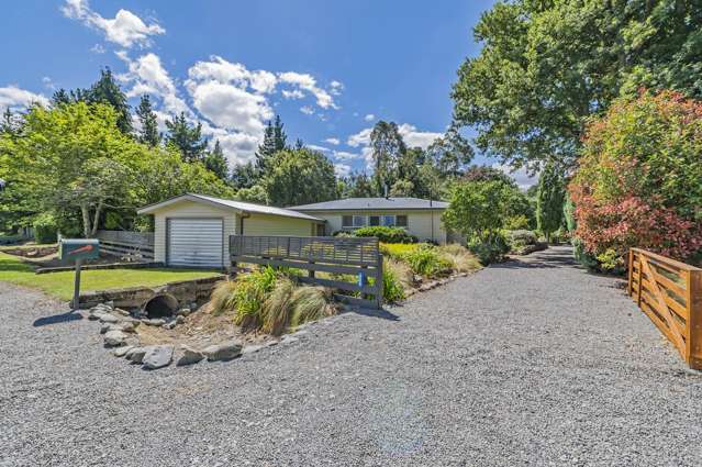 428 Kowai Road Springfield_4