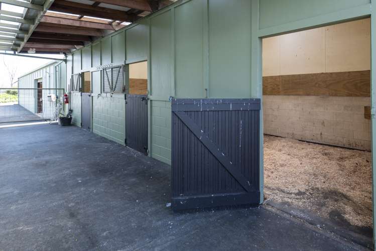 273 Tourist Road Clevedon_17