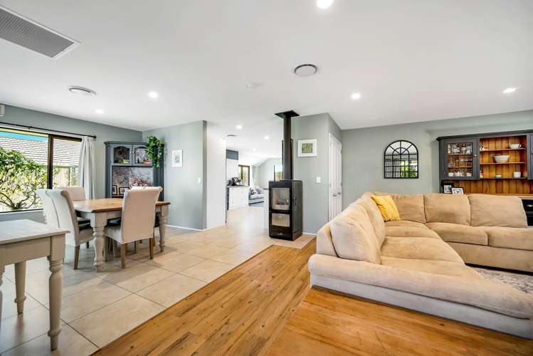 14 Tyree Drive Stoke_13