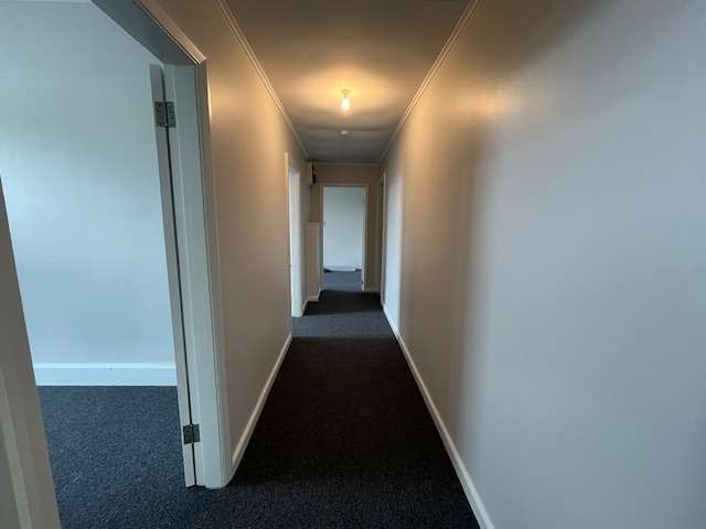 1/56 Alexander Street 10446_1