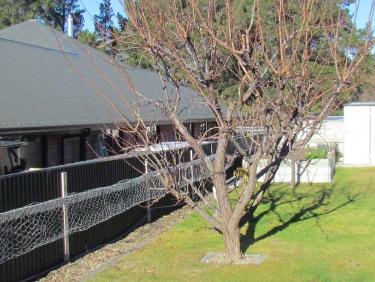 40 Jollys Road Cromwell_19