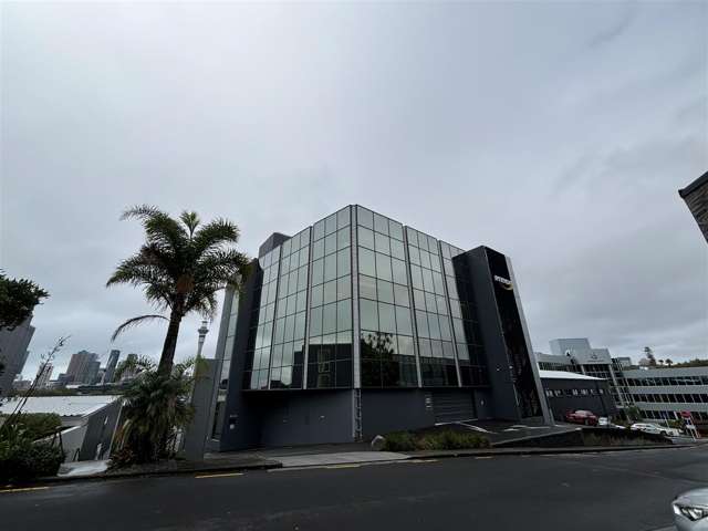 9A Hargreaves Street Freemans Bay_4