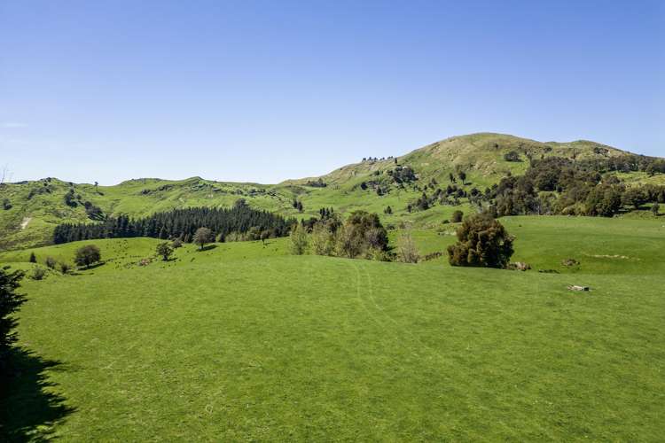 21 Carson Road Ongaonga_6